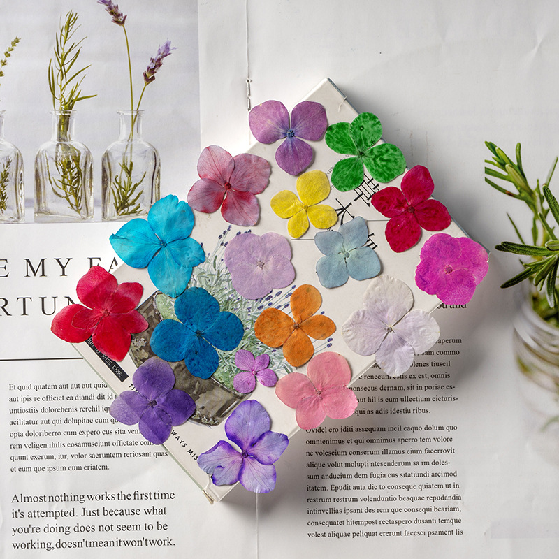 60Pcs Anna Hydrangea Color-Abs - Resin Art Baby 评论和价格