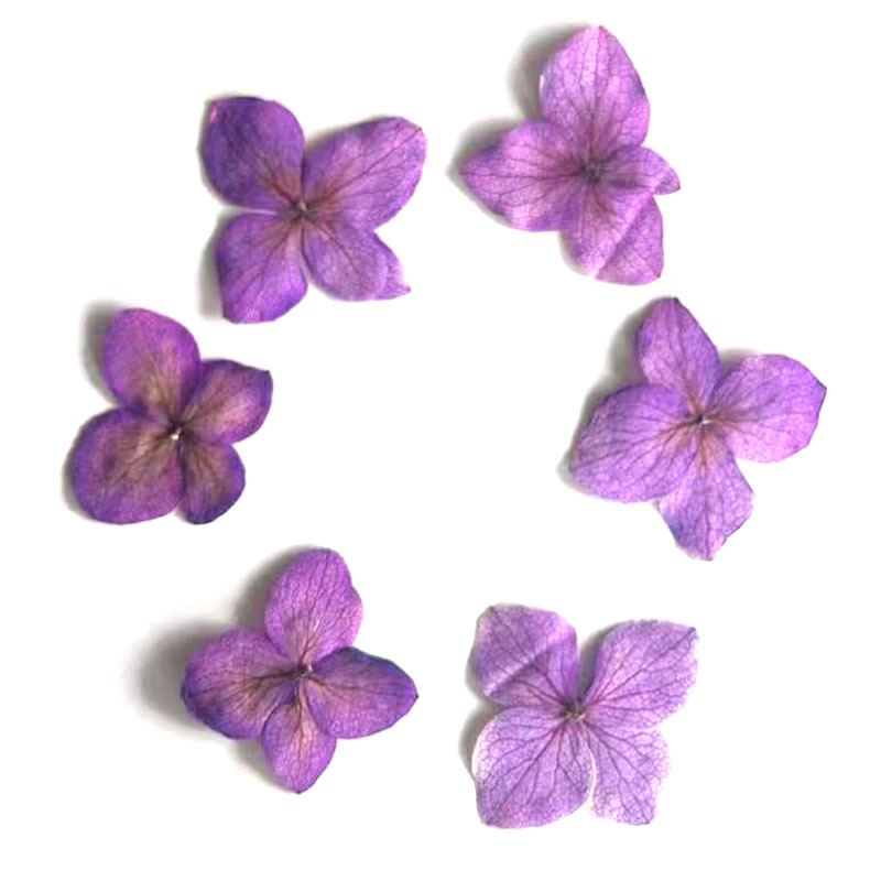 60Pcs Anna Hydrangea Color-Abs - Resin Art Baby 评论和价格