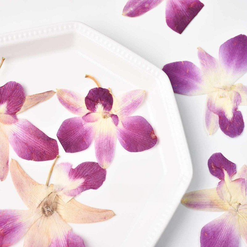 4pcs,Real Pressed Butterfly Or - Resin Art Baby 评论和价格