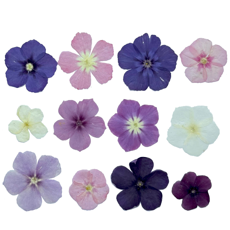 12pcs,Semi-Transparent Niche P - Resin Art Baby 评论和价格